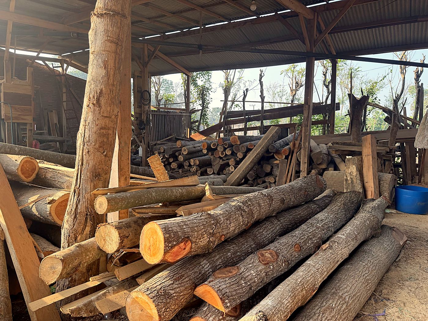 Tumpukan batang kayu di bawah atap gudang
